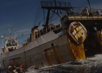 Carta abierta al Comisario Costas Kadis