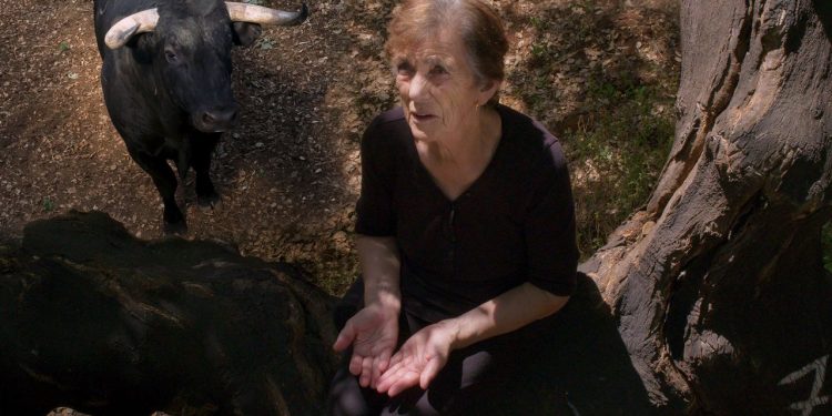 “Fire of Wind” es un debut audaz e inspirado