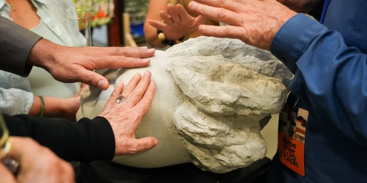 En Expocasa 2025, el arte completo el hogar: Así se eligen las obras que nos acompañan