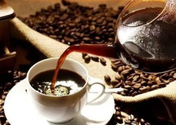 COSECHA CAFETALERA 2024-2025 DEJA DIVISAS HISTÓRICAS PARA GUATEMALA ¿QUE LO IMPULSÓ Y CUÁLES SON LAS ProYECCIONES?