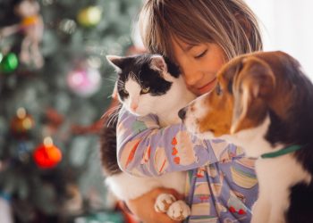 Cuándo se celebran por qué se relaciona con San Francisco de Asís