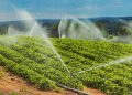 Instacrops demostrará su IA que ahorra agua y que aumenta el cultivo en TechCrunch Disrupt 2025
