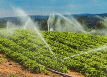 Instacrops demostrará su IA que ahorra agua y que aumenta el cultivo en TechCrunch Disrupt 2025