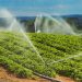 Instacrops demostrará su IA que ahorra agua y que aumenta el cultivo en TechCrunch Disrupt 2025