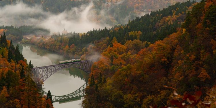 Los mejores viajes en tren en Japón para observar las hojas este otoño
