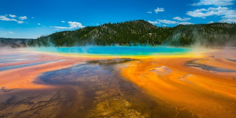 Excursiones de un día a Yellowstone: si tiene un día para visitar, reserve este recorrido destacado para 10 personas