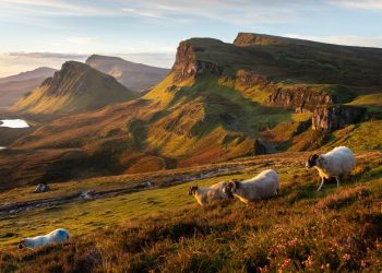 En la isla de Skye, estas cocineras están ayudando a remodelar la cocina de la región