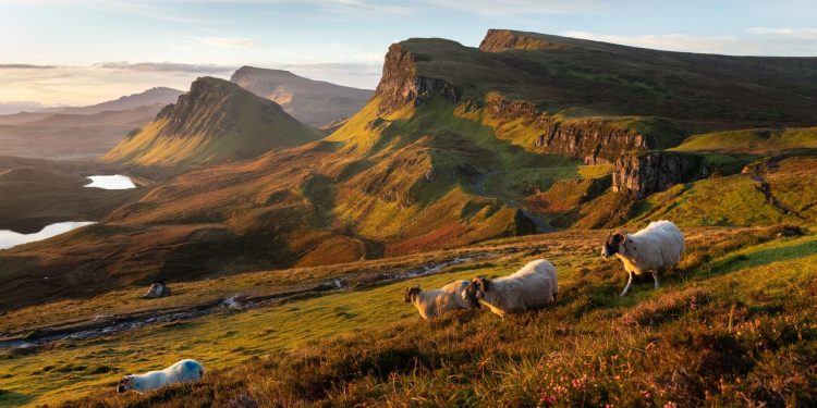 En la isla de Skye, estas cocineras están ayudando a remodelar la cocina de la región