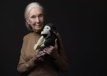 Actualizaciones de la muerte de Jane Goodall: los tributos se convierten en que el conservacionista pionero muere de 91 años