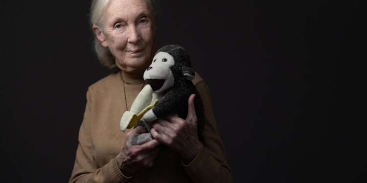 Actualizaciones de la muerte de Jane Goodall: los tributos se convierten en que el conservacionista pionero muere de 91 años