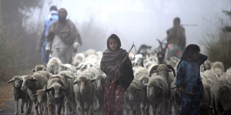 Las mujeres que transportan agua… y el mundo