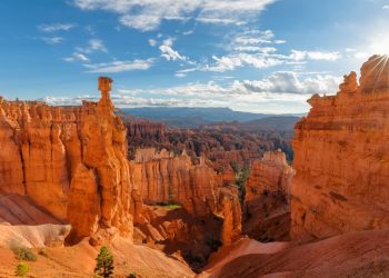 Cómo el cierre del gobierno está afectando el viaje