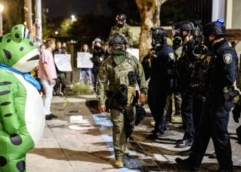 La larga historia de las ranas como símbolos de protesta