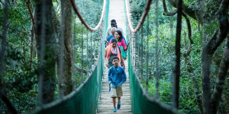 La cara cambiante de los viajes de ocio en la India