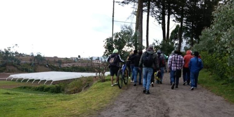 Ataque a florícola en Cayambe fue neutralizado por la Policía | Economía | Noticias