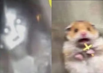 La verdadera forma en que se comunican los fantasmas confirma que el cine nos mintió