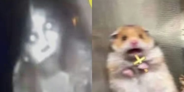 La verdadera forma en que se comunican los fantasmas confirma que el cine nos mintió