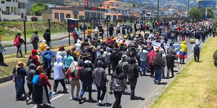 Pueblo Kichwa Karanki propone al Gobierno instalar una mesa de diálogo con acompañamiento internacional | Política | Noticias