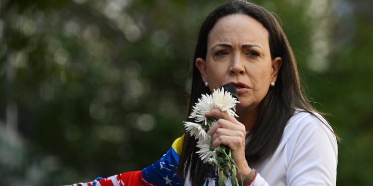 María Corina Machado gana el Premio Nobel de la Paz 2025 | ¿Quién es el cerebro y corazón de la oposición en Venezuela? Nicolás Maduro | PERFIL | MUNDO
