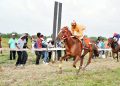 Georgetown Turf Club organiza Gymkhana el domingo en el campo del club
