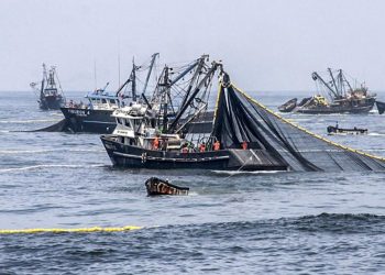La producción nacional aumentó 3,18% en agosto de 2025 por el dinamismo de la mayoría de actividades productivas l Últimas | ECONOMÍA