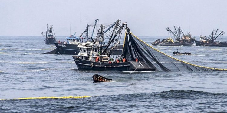 La producción nacional aumentó 3,18% en agosto de 2025 por el dinamismo de la mayoría de actividades productivas l Últimas | ECONOMÍA