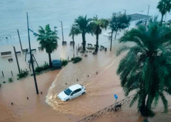 Ibiza inunda los planes de turismo y viajes