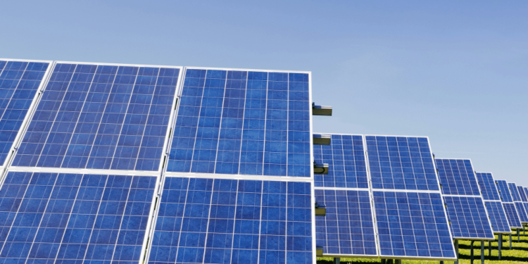 La energía renovable superará al carbón en 2025