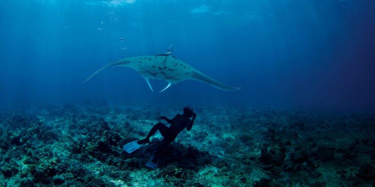 En las Maldivas, el lujo adopta muchas formas