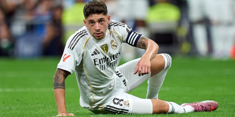 Pajarito Vuela Bajo – AS.com