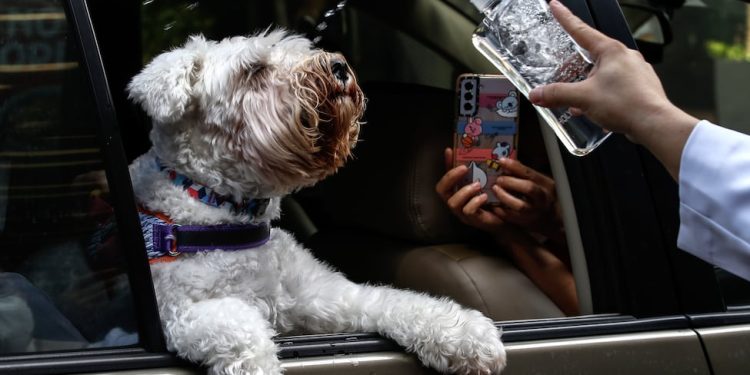 Que se Celebra Este Sábado 4 de Octubre | Sociedad | La revista