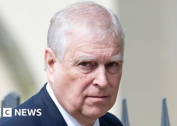 La policía metropolitana investigará las afirmaciones de que el príncipe Andrés buscó información sobre el acusador