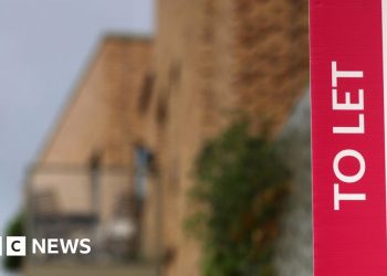 Plan de espalda de los Verdes para 'abolir' a los propietarios privados