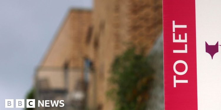 Plan de espalda de los Verdes para 'abolir' a los propietarios privados