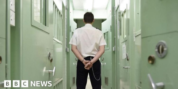 Los conservadores prometen desechar el consejo de sentencia