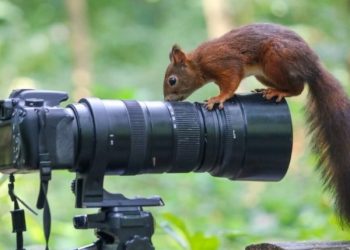 Efecto documental: la gente busca inspiración para viajes en los documentales