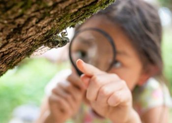 Los microsafaris del mundo atraen a más exploradores