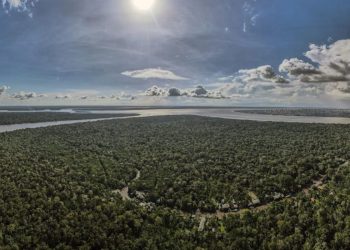 Brasil autoriza búsqueda de petróleo frente a la Amazonía