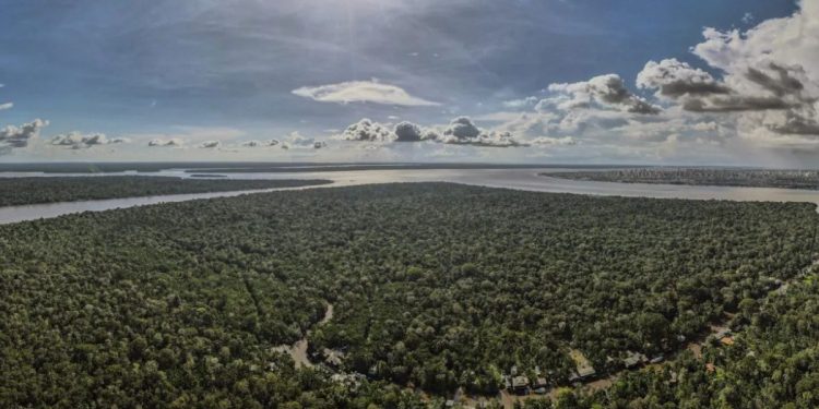 Brasil autoriza búsqueda de petróleo frente a la Amazonía