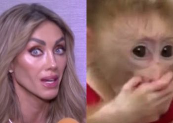 Anahí Reparece Con Preocupante Cambio Físico y Fans Dicen Que Se Le Pasó la Mano Con Los 'Arreglitos'