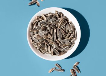 ¿Se pueden comer demasiadas semillas de girasol?