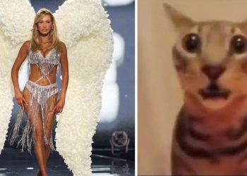 La peligrosa verdad detrás de la pasarela de Bella Hadid