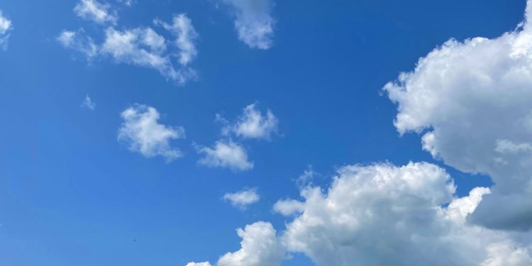 Waffles Eat Bluesky | TechCrunch