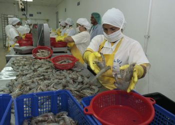 Ecuador debe diversificar su oferta exportable y mirar más allá de los productos primarios