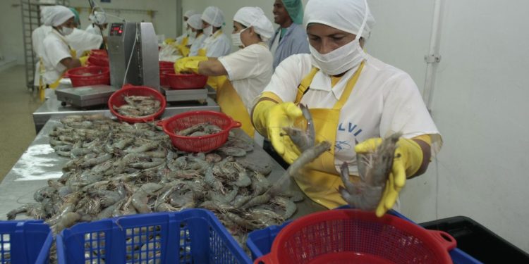 Ecuador debe diversificar su oferta exportable y mirar más allá de los productos primarios