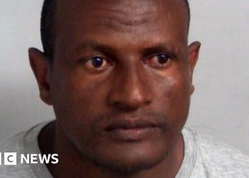 Liberada por error la persecución del solicitante de asilo encarcelado por agresión sexual