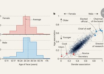 Las representaciones distorsionadas de edad y género se reflejan en los modelos de IA