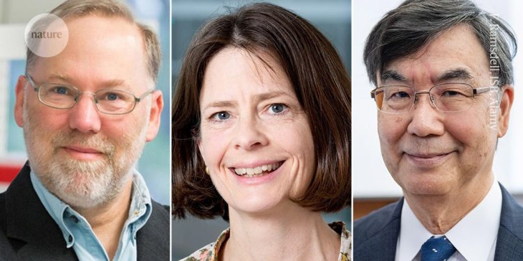 Medicina Nobel va a los científicos que revelaron secretos de «regulación» del sistema inmunitario