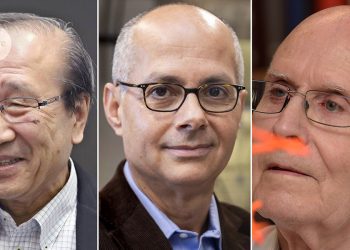 Nobel de Química para los científicos que desarrollaron materiales de 'superesponja' masivamente porosos