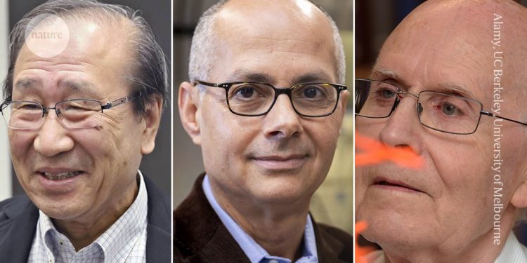 Nobel de Química para los científicos que desarrollaron materiales de 'superesponja' masivamente porosos